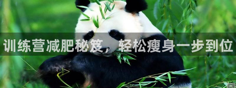 龙8国际手机版
