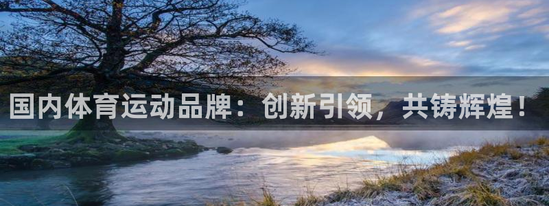 xc体育：国内体育运动品牌：创新引领，共铸辉煌！