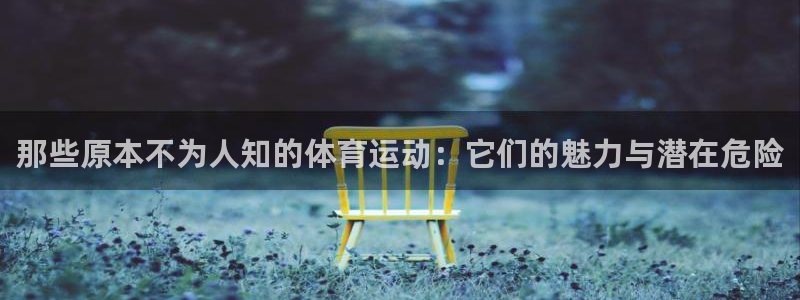 xc体育app官方网站：那些原本不为人知的体育运动：它们的魅力与潜在危险