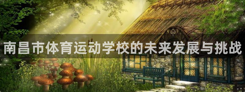 xc体育app官方网站：南昌市体育运动学校的未来发展与挑战