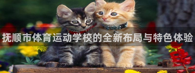 xc体育app官方网站：抚顺市体育运动学校的全新布局与特色体验