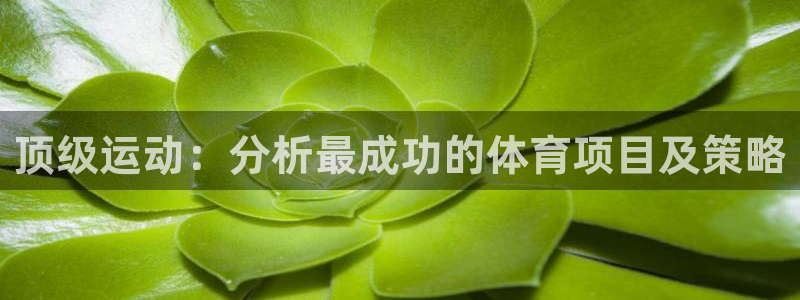 xc体育app官方网站：顶级运动：分析最成功的体育项目及策略