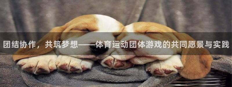 xc体育app官方网站：团结协作，共筑梦想——体育运动团体游戏的共同愿景与实践