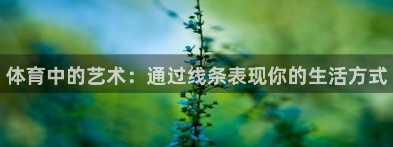 xc体育app官方网站：体育中的艺术：通过线条表现你的生活方式