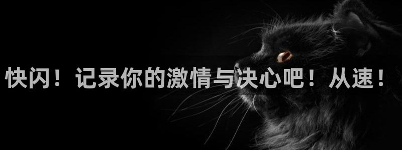 xc体育app官方网站：快闪！记录你的激情与决心吧！从速！