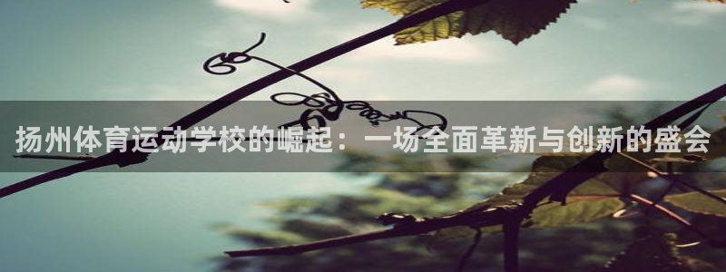 xc体育app官方网站：扬州体育运动学校的崛起：一场全面革新与创新的盛会