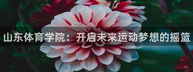 xc体育app官方网站：山东体育学院：开启未来运动梦想的摇篮
