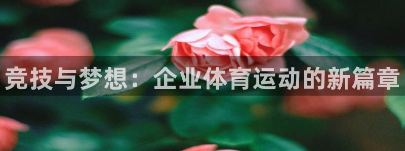 xc体育：竞技与梦想：企业体育运动的新篇章