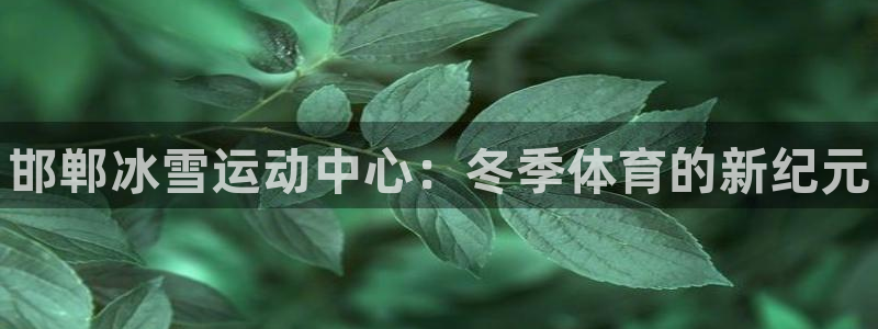 xc体育app官方网站：邯郸冰雪运动中心：冬季体育的新纪元