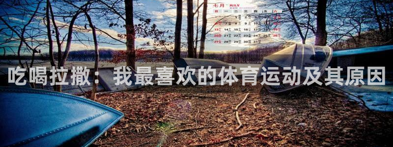 xc体育app官方网站：吃喝拉撒：我最喜欢的体育运动及其原因