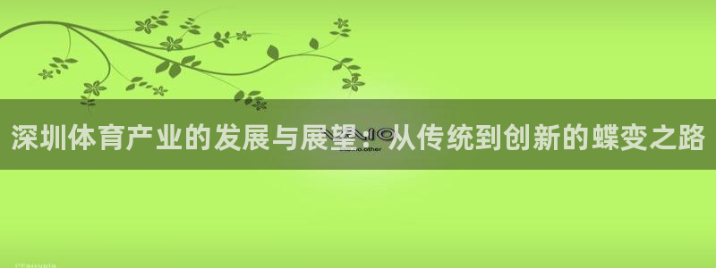 xc体育app官方网站：深圳体育产业的发展与展望：从传统到创新的蝶变之路