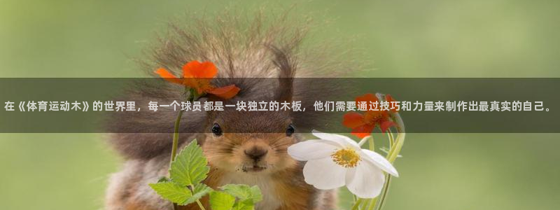 xc体育：在《体育运动木》的世界里，每一个球员都是一块独立的木板，他们需要通过技巧和力量来制作出最真实的自己。