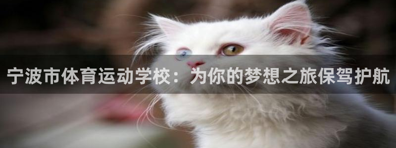 xc体育