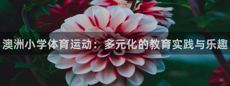 xc体育app官方网站：澳洲小学体育运动：多元化的教育实践与乐趣