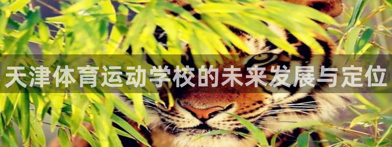 xc体育：天津体育运动学校的未来发展与定位