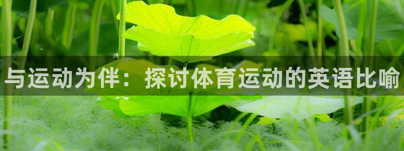 xc体育app官方网站：与运动为伴：探讨体育运动的英语比喻