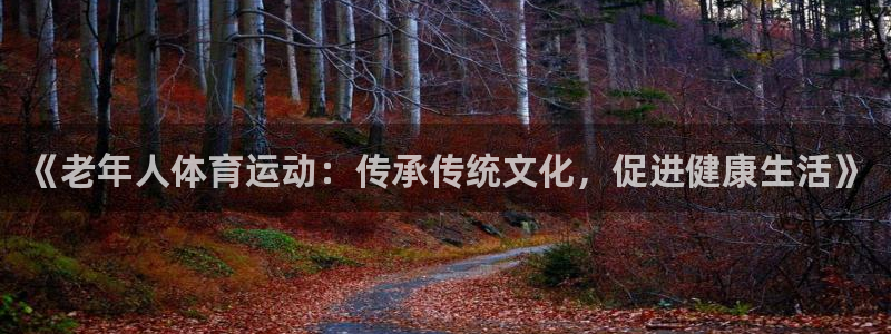 xc体育app官方网站：《老年人体育运动：传承传统文化，促进健康生活》