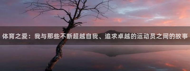 xc体育：体育之爱：我与那些不断超越自我、追求卓越的运动员之间的故事