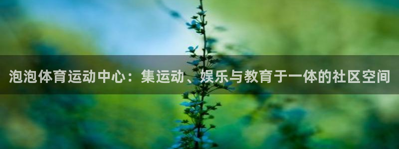 xc体育app官方网站：泡泡体育运动中心：集运动、娱乐与教育于一体的社区空间