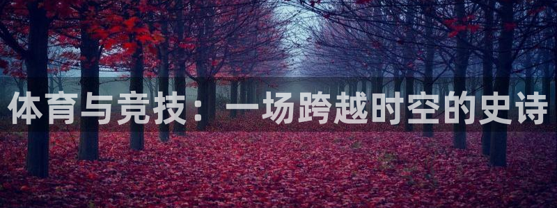 xc体育：体育与竞技：一场跨越时空的史诗