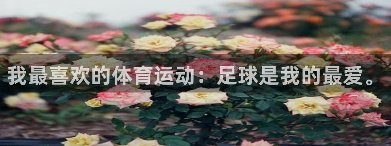 xc体育：我最喜欢的体育运动：足球是我的最爱。