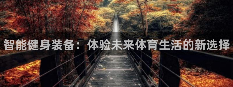 xc体育app官方网站：智能健身装备：体验未来体育生活的新选择