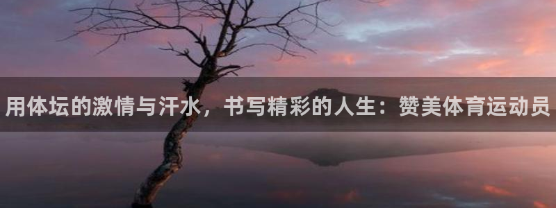 xc体育：用体坛的激情与汗水，书写精彩的人生：赞美体育运动员