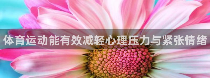 xc体育app官方网站