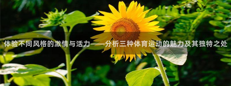 xc体育app官方网站：体验不同风格的激情与活力——分析三种体育运动的魅力及其独特之处
