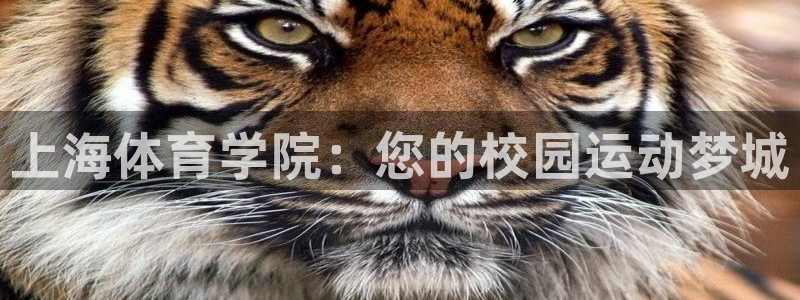 xc体育app官方网站：上海体育学院：您的校园运动梦城