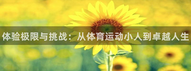xc体育：体验极限与挑战：从体育运动小人到卓越人生