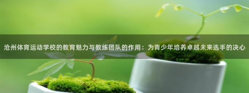 xc体育app官方网站：沧州体育运动学校的教育魅力与教练团队的作用：为青少年培养卓越未来选手的决心