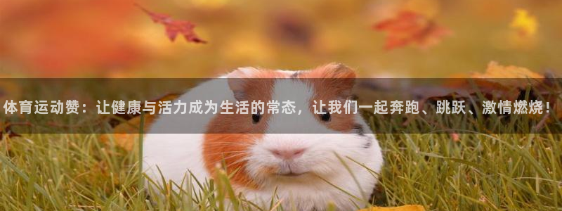 xc体育app官方网站：体育运动赞：让健康与活力成为生活的常态，让我们一起奔跑、跳跃、激情燃烧！