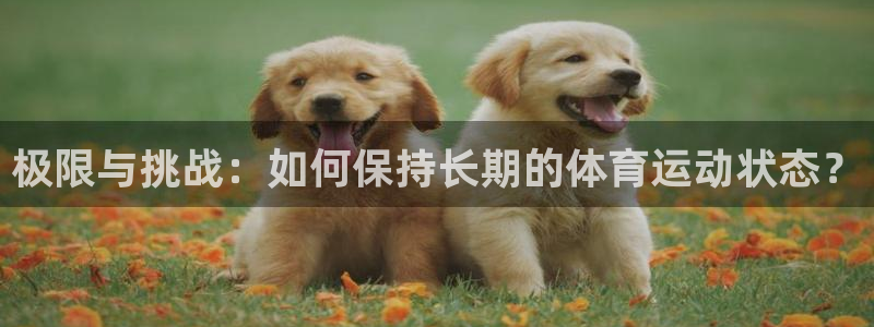 xc体育：极限与挑战：如何保持长期的体育运动状态？