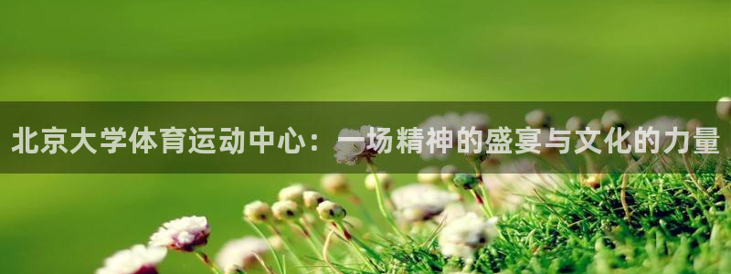 xc体育app官方网站：北京大学体育运动中心：一场精神的盛宴与文化的力量