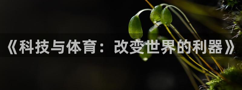 xc体育：《科技与体育：改变世界的利器》