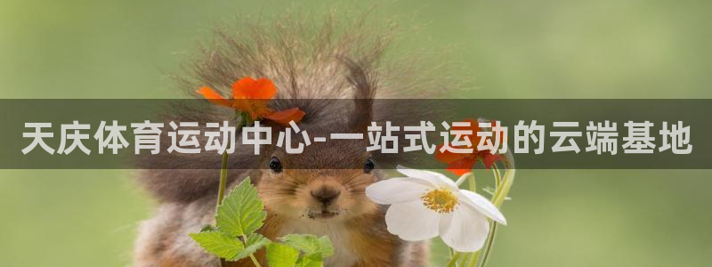 xc体育